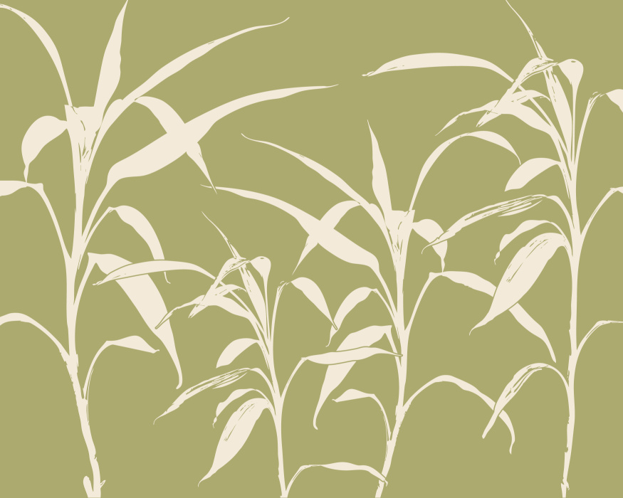 Add a striking, modern vibe with the natural elegance of our Bamboo Forest Peel & Stick Mural.