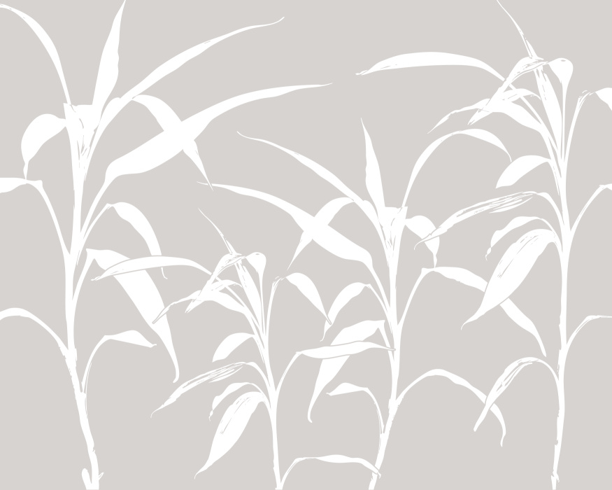 Add a striking, modern vibe with the natural elegance of our Bamboo Forest Peel & Stick Mural.