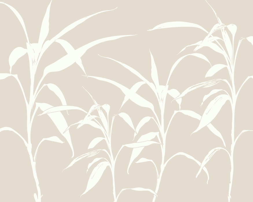 Add a striking, modern vibe with the natural elegance of our Bamboo Forest Peel & Stick Mural.