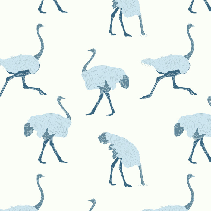 Let your fun personality shine through with our Ostrich Run Peel and Stick Removable Wallpaper. 
