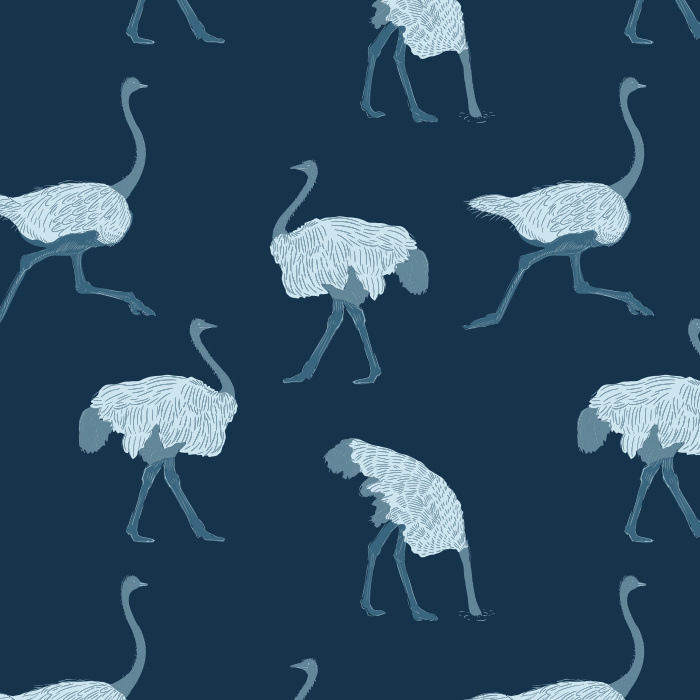 Let your fun personality shine through with our Ostrich Run Peel and Stick Removable Wallpaper. 