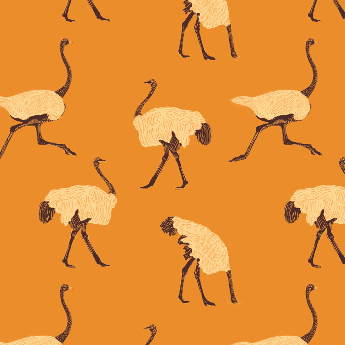 Let your fun personality shine through with our Ostrich Run Peel and Stick Removable Wallpaper. 