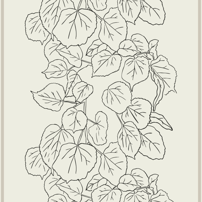 Create a striking, nature-inspired statement with Climbing Ivy wallpaper, featuring oversized hand-drawn ivy vines cascading vertically in elegant black line art on a soft off-white background.