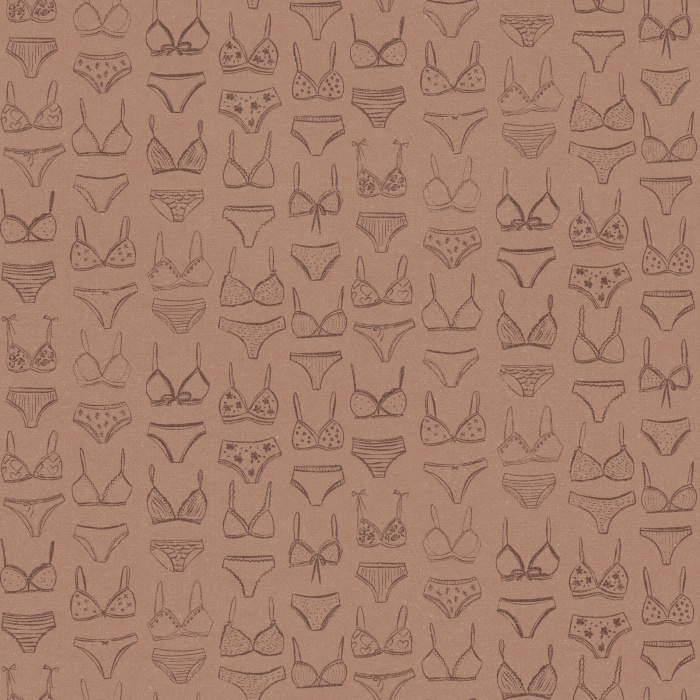 Add a playful touch with our Laced Comfort wallpaper, featuring blush pink lingerie line art on a pale background.