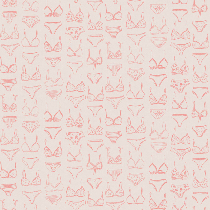 Add a playful touch with our Laced Comfort wallpaper, featuring blush pink lingerie line art on a pale background.