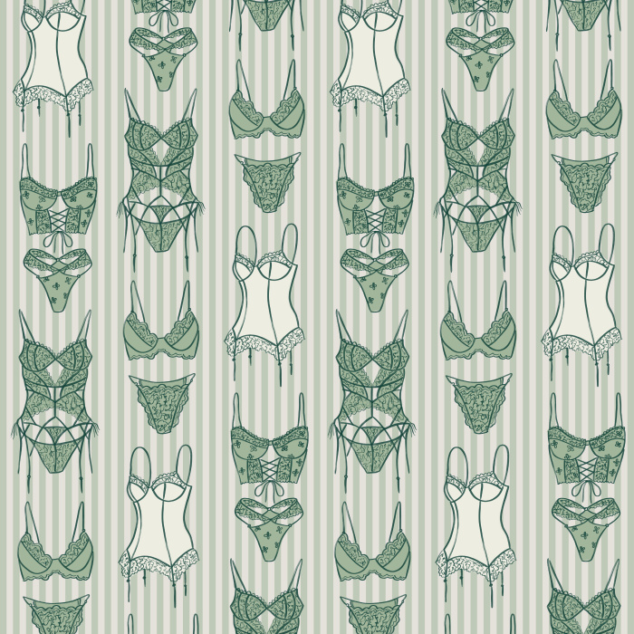 Add playful charm to your space with our Fun Lingerie Wallpaper, featuring a whimsical pattern of corsets, bras, and lingerie pieces.