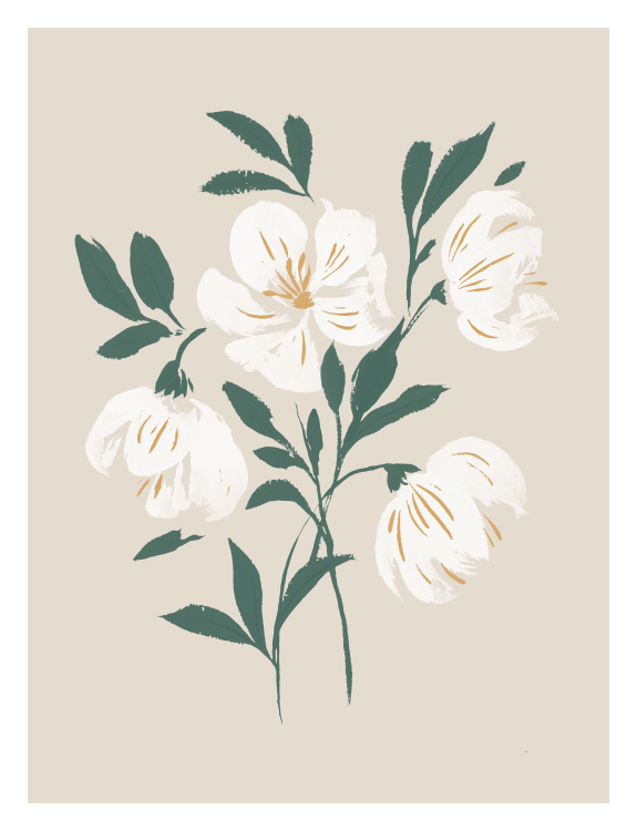 Add some floral artistry to your home with our Hellebore Spray Art Print.