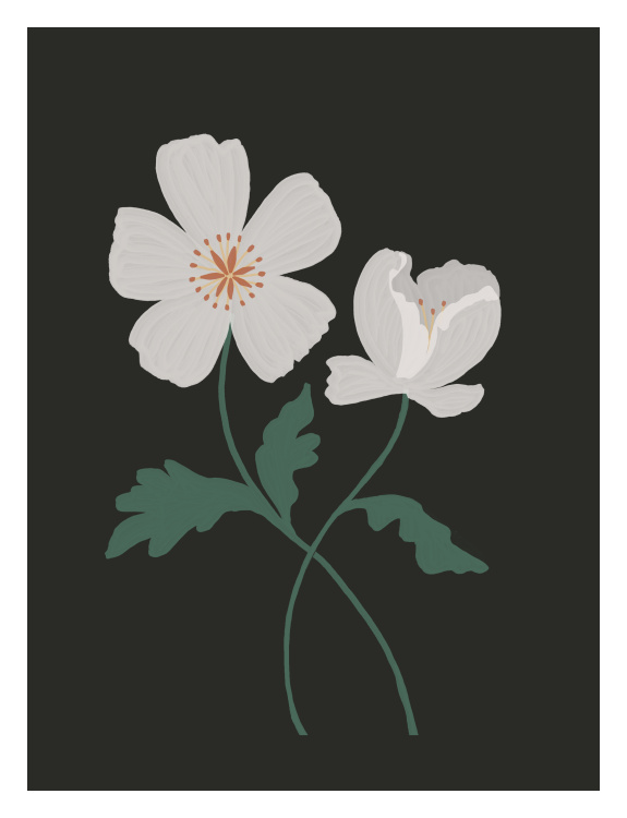 Bloom One Art Print features two white hand-drawn blossoms with green stems on a bold charcoal background.