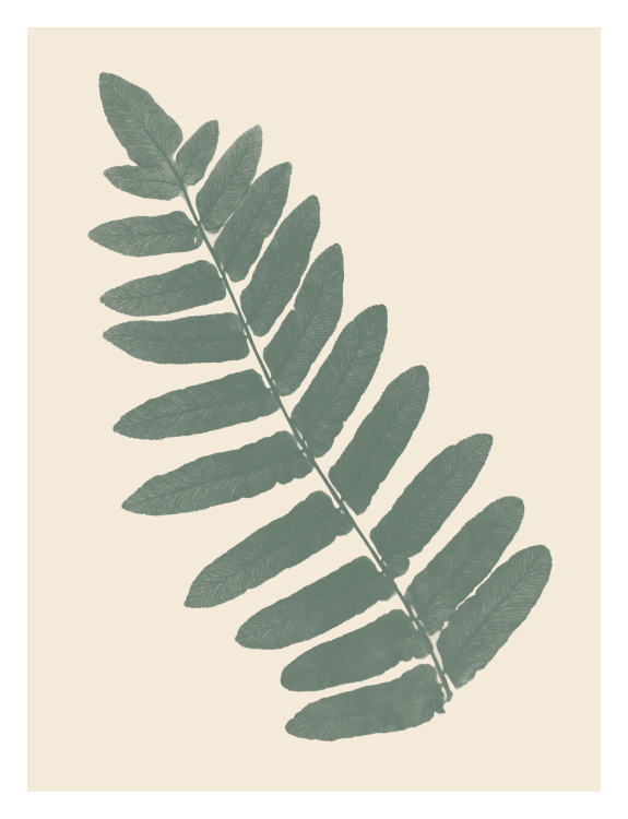 Specimen One Art Print features a detailed sage-toned botanical leaf study on a warm ivory background.