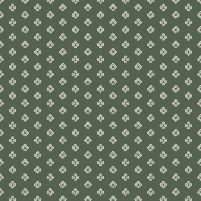 Bring timeless charm to your walls with this Academia Roses Wallpaper, a delicate floral pattern inspired by vintage botanical prints and classic cottage interiors.