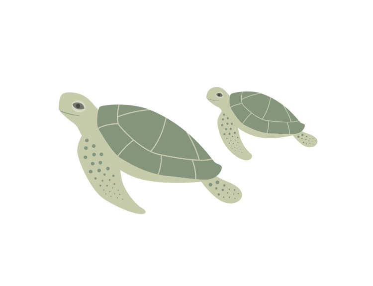 Bring gentle ocean charm to your walls with this Ocean Turtle Art Print, a calming illustration inspired by peaceful underwater scenes.