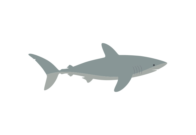 Make a bold splash with this Ocean Shark Art Print, a sleek and modern illustration inspired by the power and mystery of the sea.