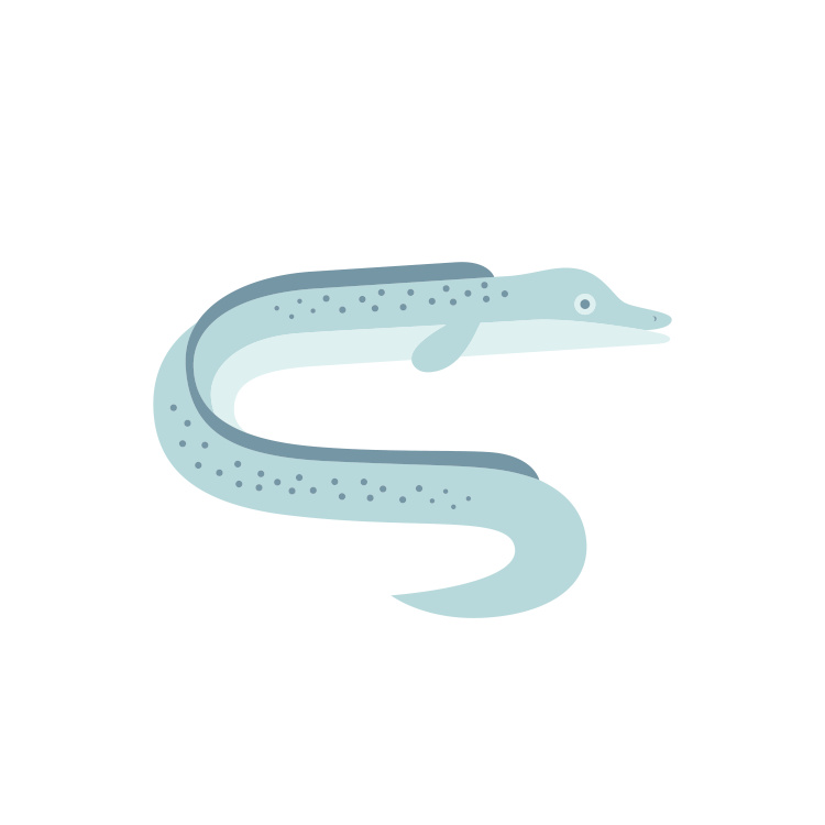 Dive into calming coastal style with this Ocean Eel Art Print, a sleek and modern illustration inspired by underwater life.