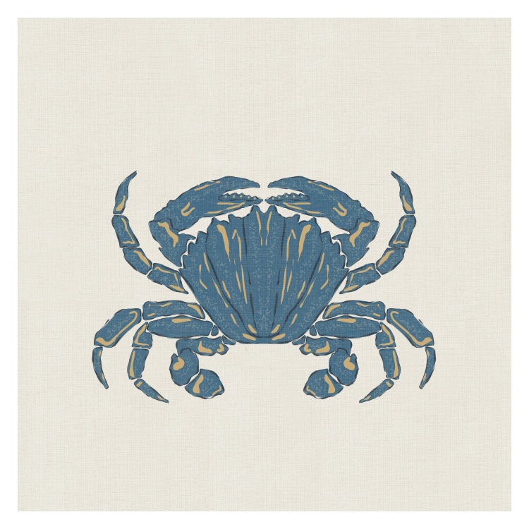 Bring a breezy seaside feel to your space with this Coastal Crab Art Print, featuring a beautifully illustrated crab in soft ocean-inspired hues.