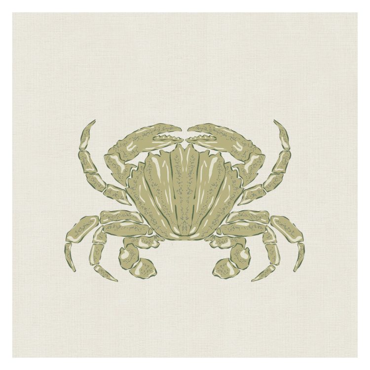 Bring a breezy seaside feel to your space with this Coastal Crab Art Print, featuring a beautifully illustrated crab in soft ocean-inspired hues.
