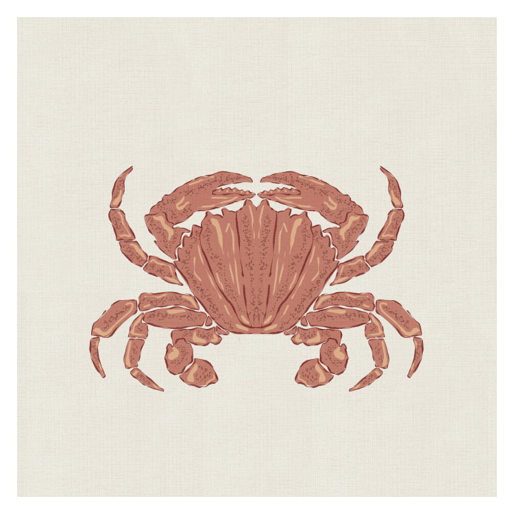 Bring a breezy seaside feel to your space with this Coastal Crab Art Print, featuring a beautifully illustrated crab in soft ocean-inspired hues.