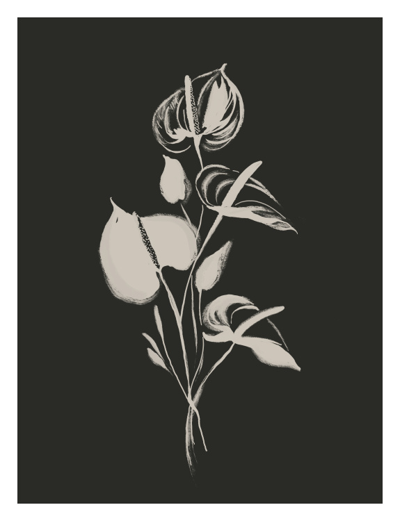 Add a bold and sophisticated botanical touch to your space with this Anthurium Flower Art Print, featuring an elegant floral illustration in striking monochrome contrast.