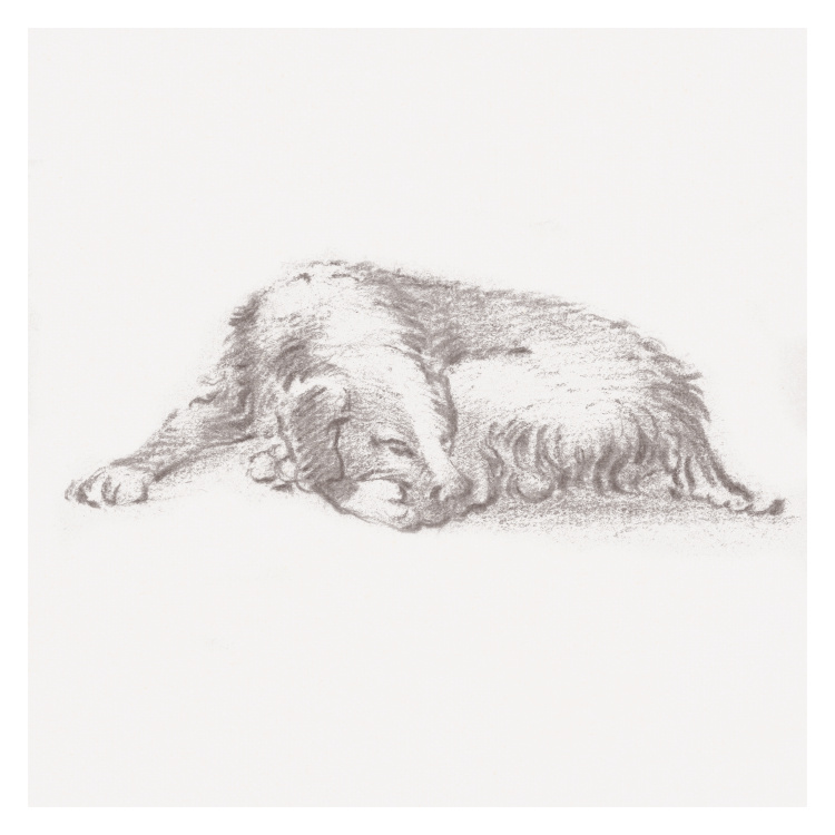 Add a touch of warmth and quiet charm to your space with this Sleeping Dog Art Print, featuring a softly sketched illustration of a resting dog captured in gentle, expressive pencil strokes.