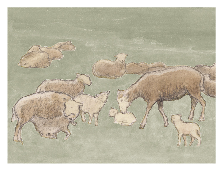 Bring a peaceful, pastoral charm to your space with this Grazing Sheep Art Print, featuring a gentle watercolor-style illustration of sheep and lambs resting and grazing across a soft green meadow.
