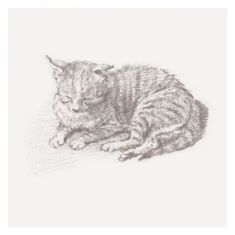 Add a soft, cozy touch to your space with this Sleeping Cat Art Print, featuring a beautifully sketched illustration of a curled-up cat resting peacefully.