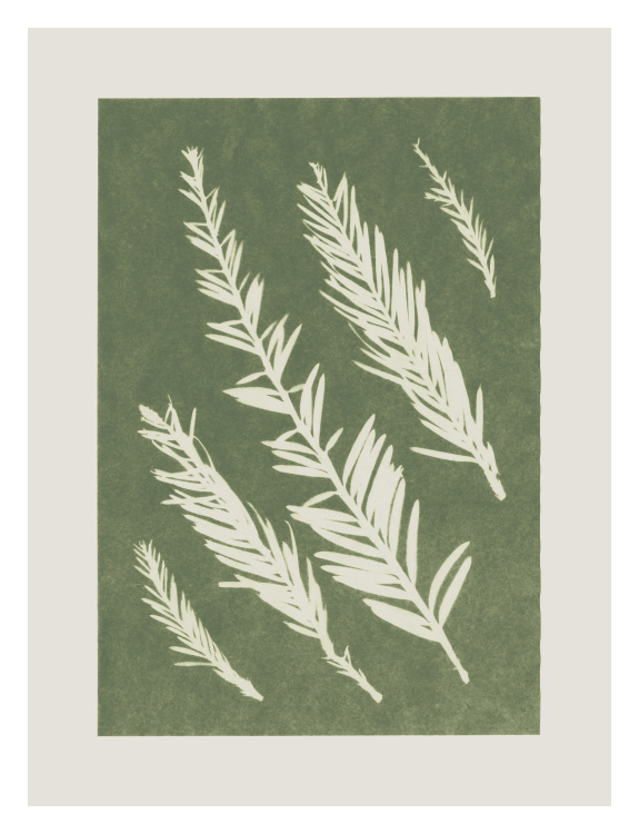Bring natural texture and organic beauty into your space with this Sun Print Two Art Print, featuring delicate botanical fronds rendered in a bold, high-contrast silhouette style.