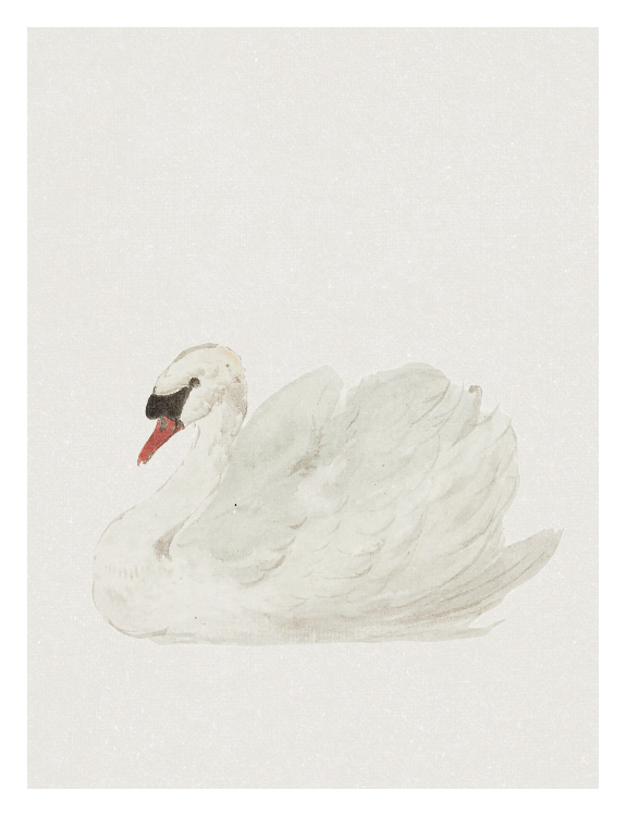 Create a serene and elegant atmosphere with this Peaceful Swan Art Print, featuring a softly painted swan resting gracefully in calm waters.