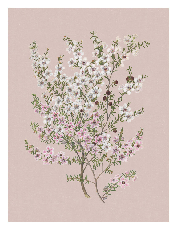 Add soft elegance to your space with this Branch Bouquet Art Print, featuring a delicate arrangement of blooming branches in a graceful, botanical composition.
