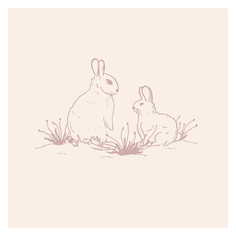 Add a touch of storybook charm to your space with this Fairytale Bunnies Art Print, featuring two softly sketched rabbits in a gentle woodland setting.