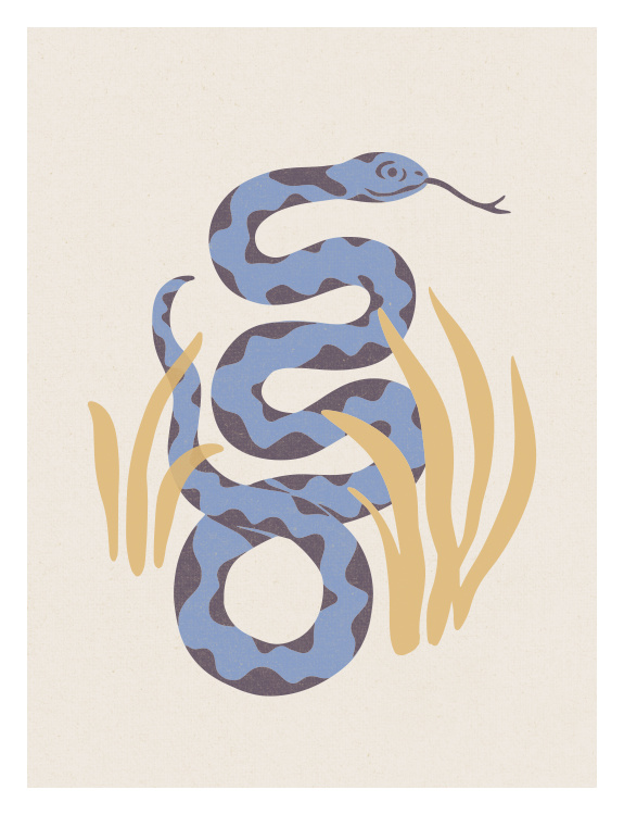 Bring a bold and adventurous feel to your space with this Wild and Free Snake Art Print, featuring a stylized coiled snake in a modern design.
