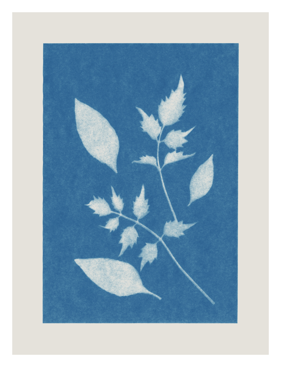 Cyanotype Three Art Print