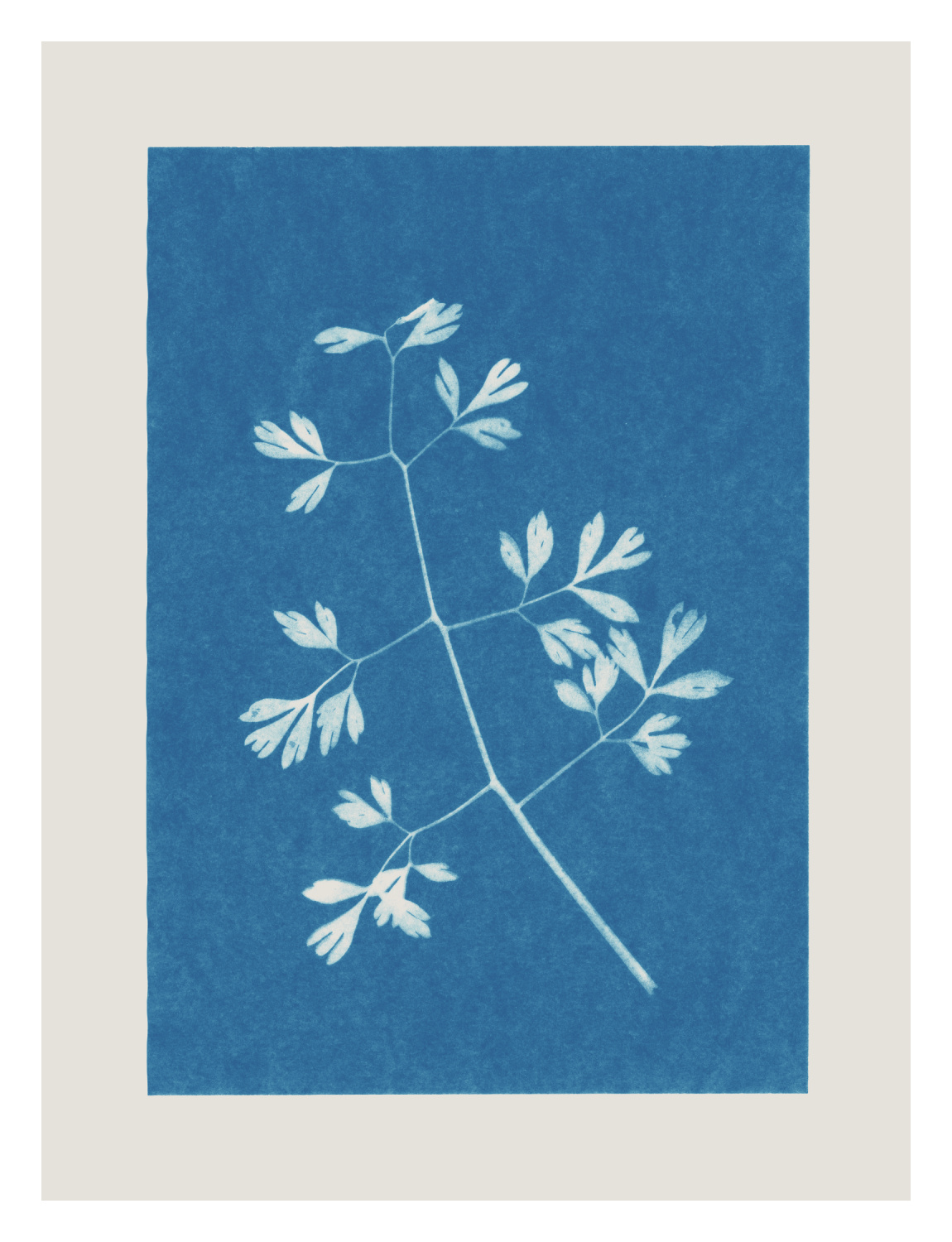 Cyanotype Four Art Print