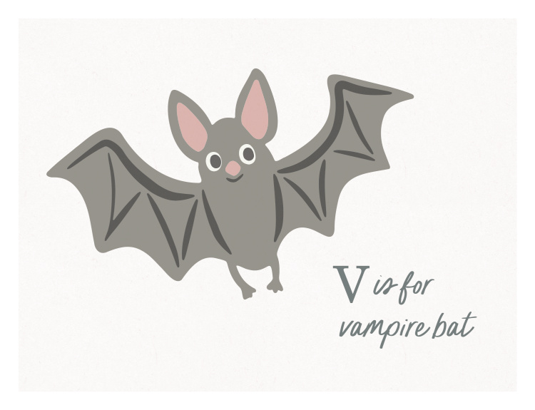 Introduce a playful twist on wildlife learning with Animal Names Vampire Bat Art Print, featuring an adorable illustrated bat paired with educational alphabet lettering.