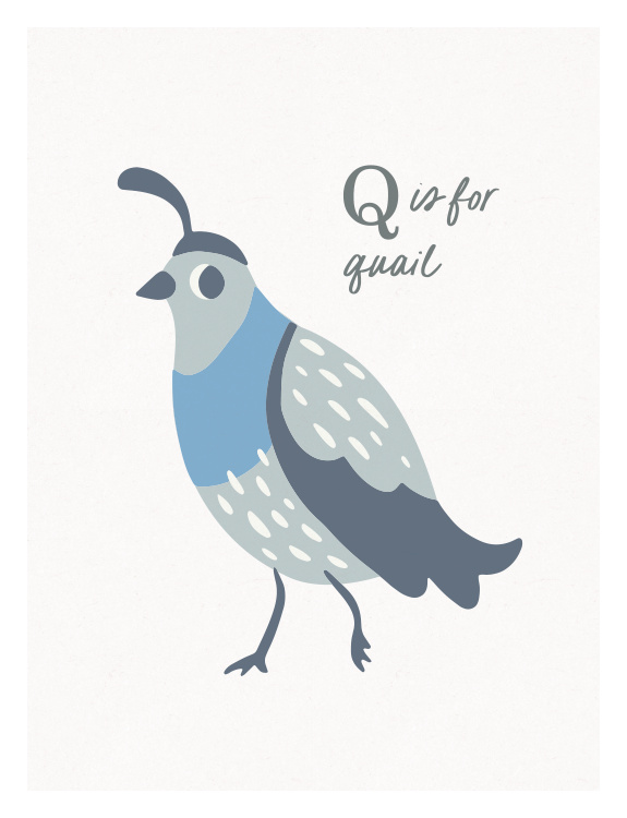 Introduce little learners to the alphabet with Animal Names Quail Art Print, featuring a charming illustrated quail alongside the phrase "Q is for Quail" in a playful educational design.