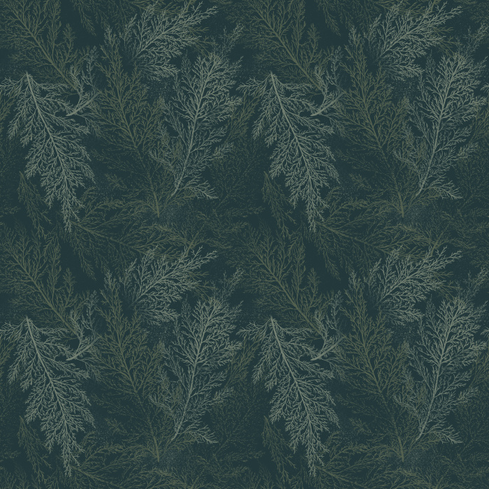 Juniper Leaves Wallpaper showcases finely illustrated evergreen branches layered into a rich tonal botanical pattern, creating a sophisticated woodland-inspired design with timeless appeal.