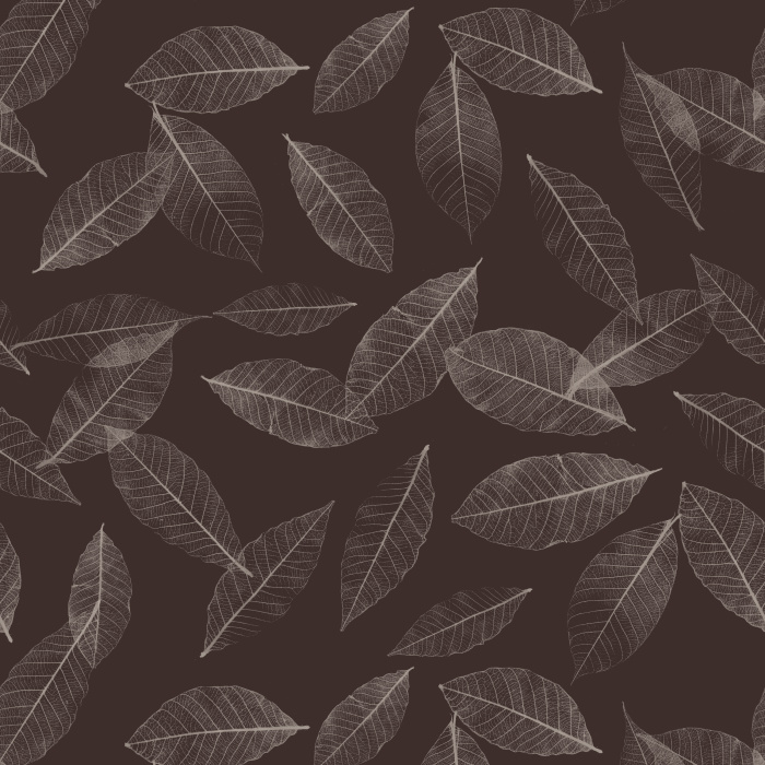 Fallen Leaves Wallpaper features an elegant scatter of hand-drawn botanical leaves that creates a sophisticated organic pattern inspired by nature's quiet beauty.