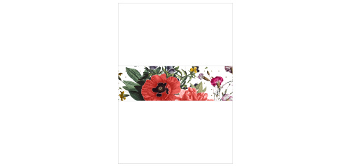 The Botanical Art Belly Band features a luscious backdrop of flora that appear to have been ripped right out of the pages of a botanical journal.