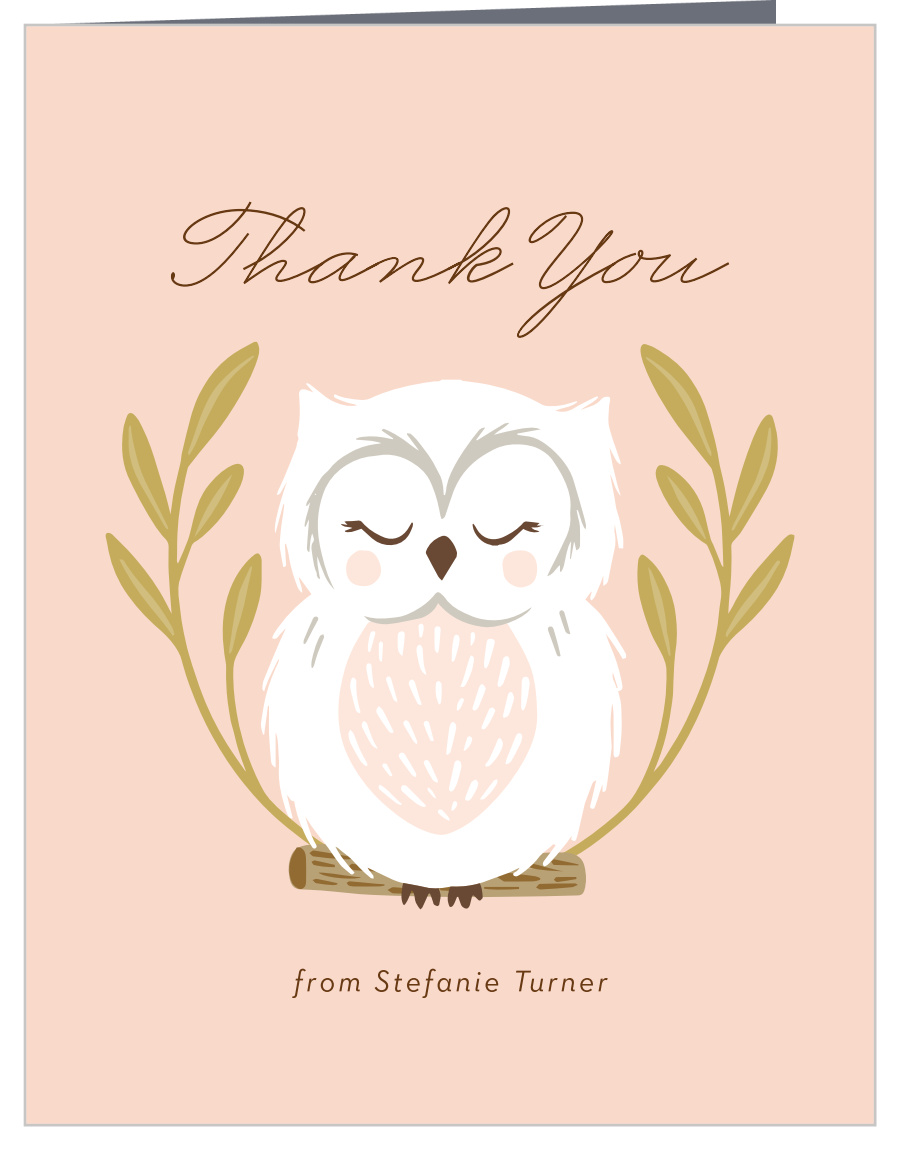Native Owl Baby Shower Thank You Cards