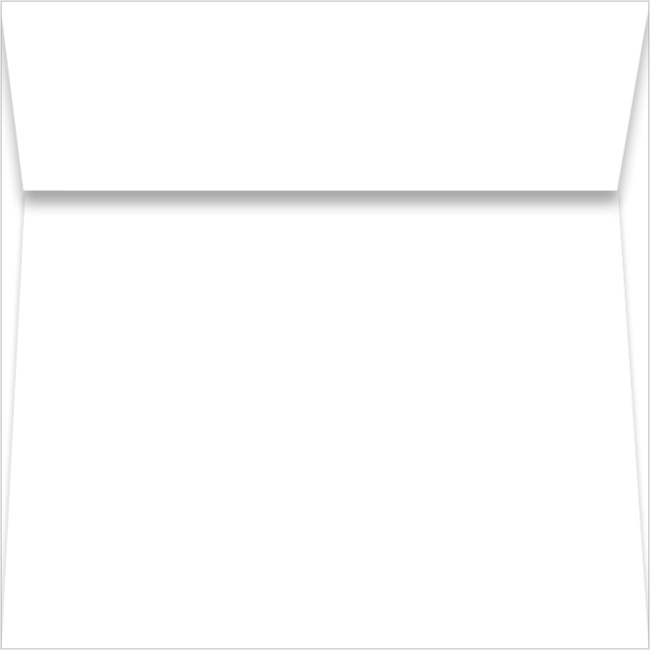 Complete with peel & seal (no licking required), these A1 envelopes are perfect for mailing your save-the-date and thank you cards. The luxurious weight and premium construction are sure to impress your recipients.