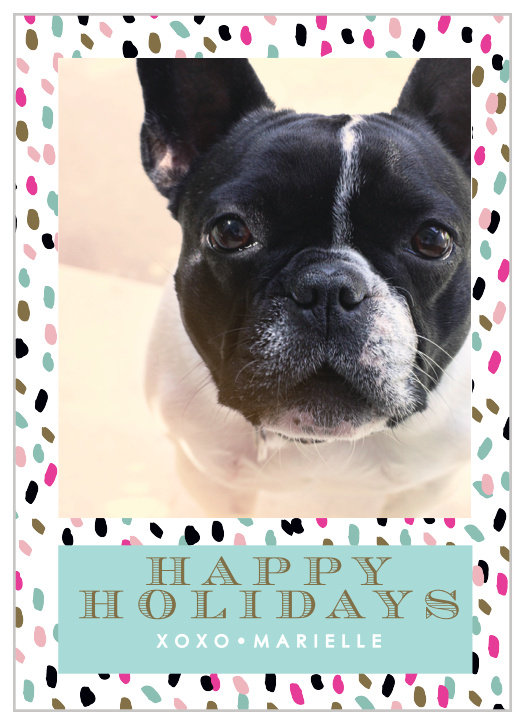 The Animal Print holiday cards is a great way to welcome in the holiday with your favorite furry friend.