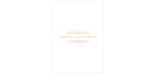 Beautiful and ornate scrolls in gold or silver foil frame your and your fiancé’s names on the Caribbean Palm Foil Belly Bands.