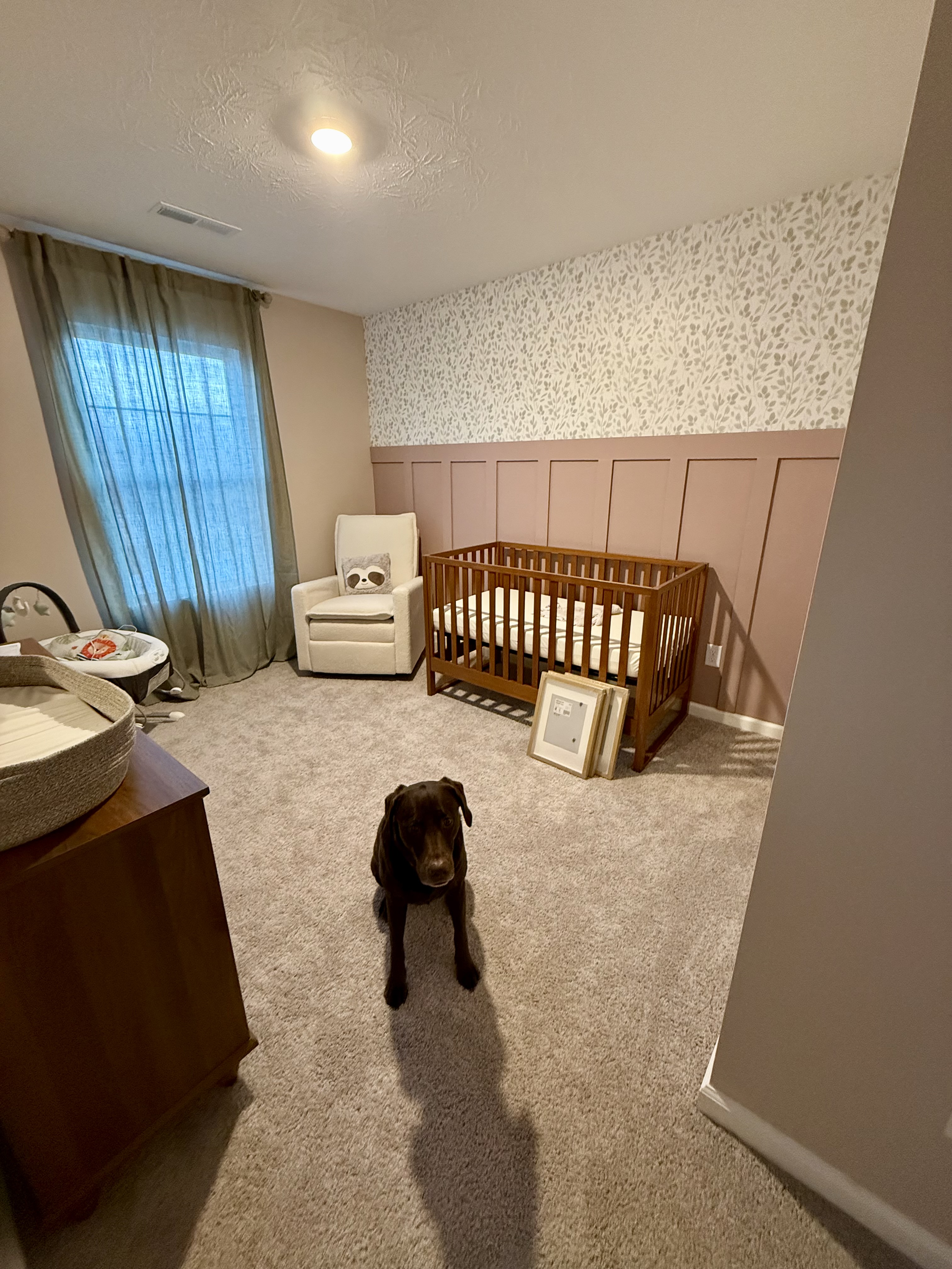 Review preview by Katelyn