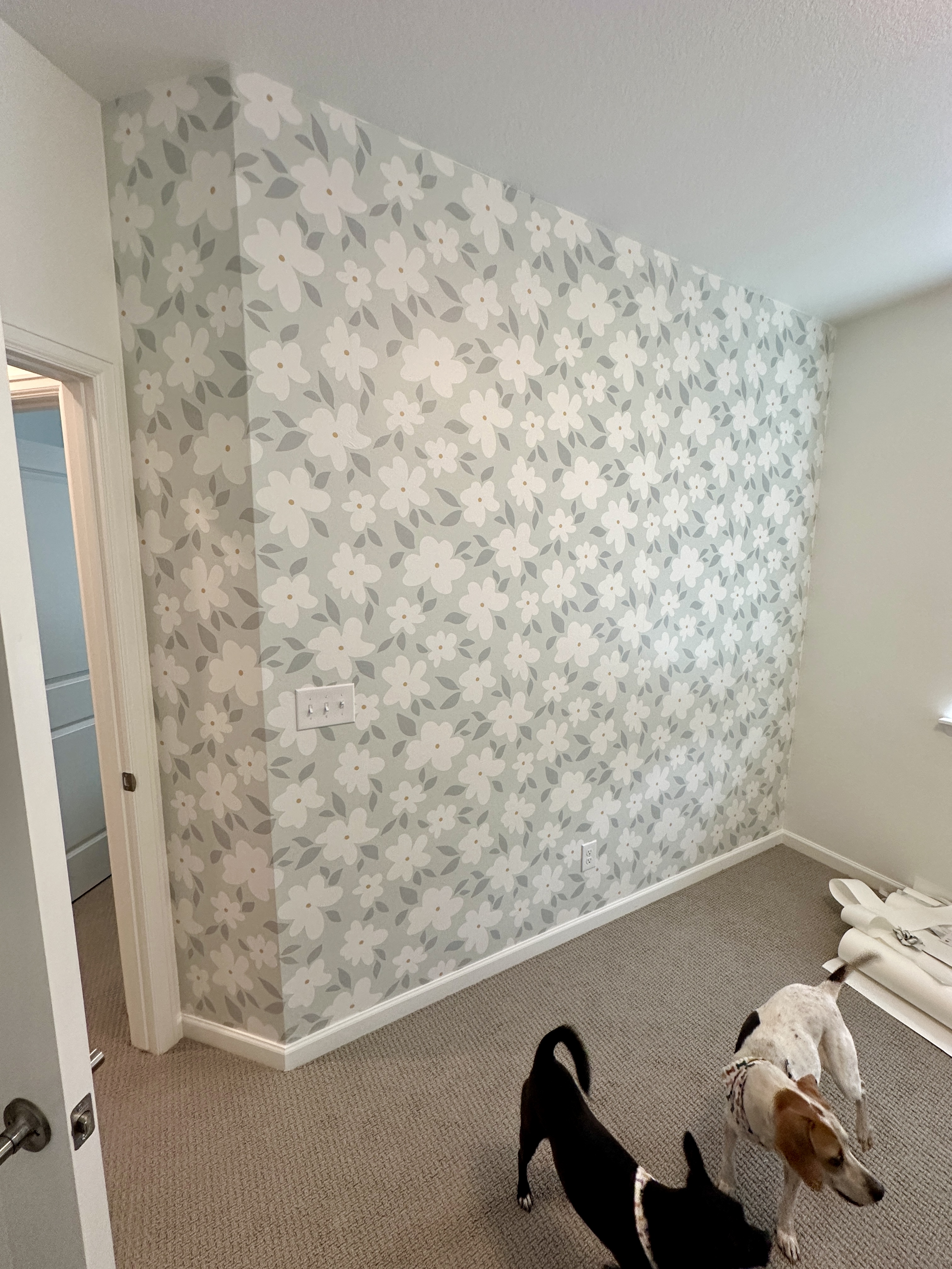 Review preview by Katie