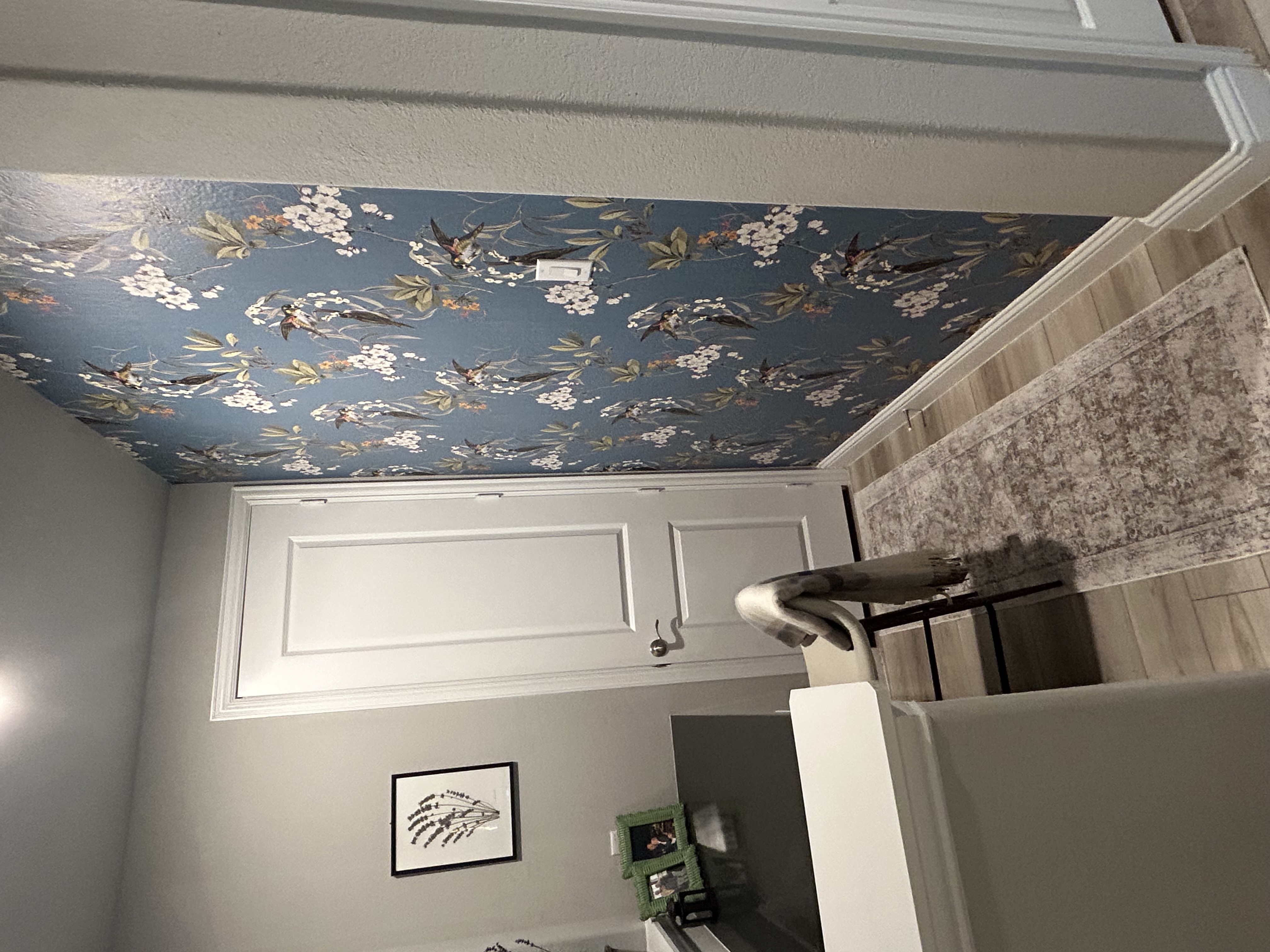 Review preview by Debbie