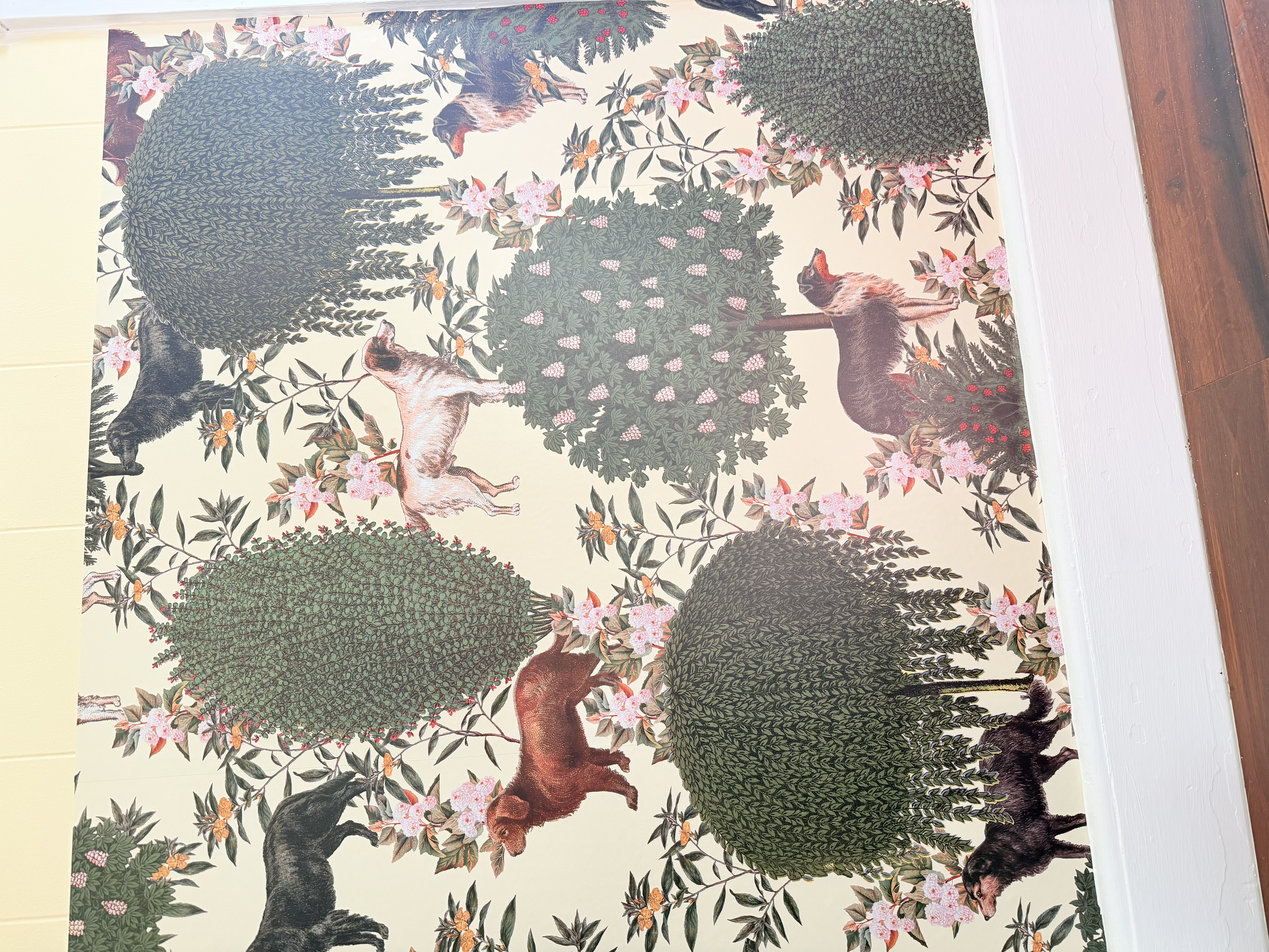 Review preview by Michel