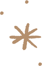 brown sparkle icon version 1